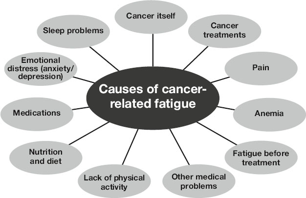 Diagram showing causes of cancer-related fatigue in a central black oval with gray ovals around it, including cancer itself, treatments, pain, anemia, fatigue before treatment, other medical problems, lack of activity, diet, medications, sleep issues, and emotional distress.