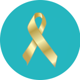 Charity Partners Icon