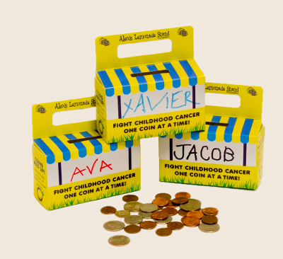 Coin Collection Boxes
