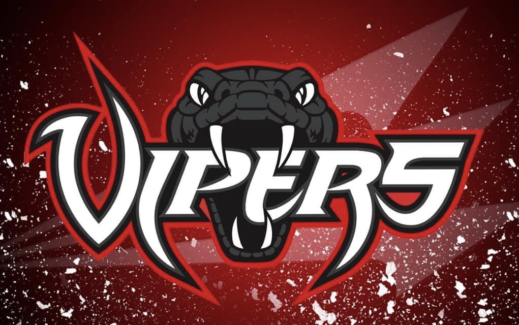 Vipers Baseball Alex's Lemonade Stand Foundation for Childhood Cancer