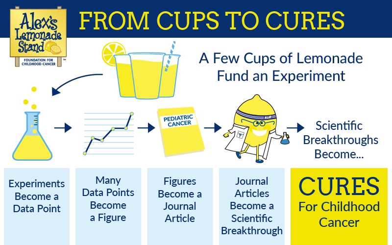 Dr. Jeffrey Huo, an ALSF grantee, explains how research happens beginning with cups of lemonade and moving through the research process.