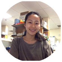 Sunhye Lee, PhD | Alex's Lemonade Stand Foundation for Childhood