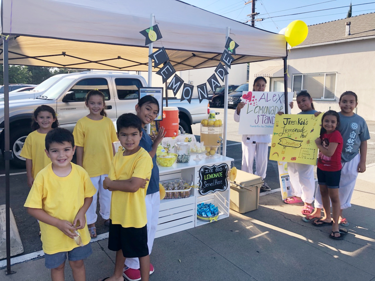  Alex's Lemonade Stand Foundation for Childhood Cancer